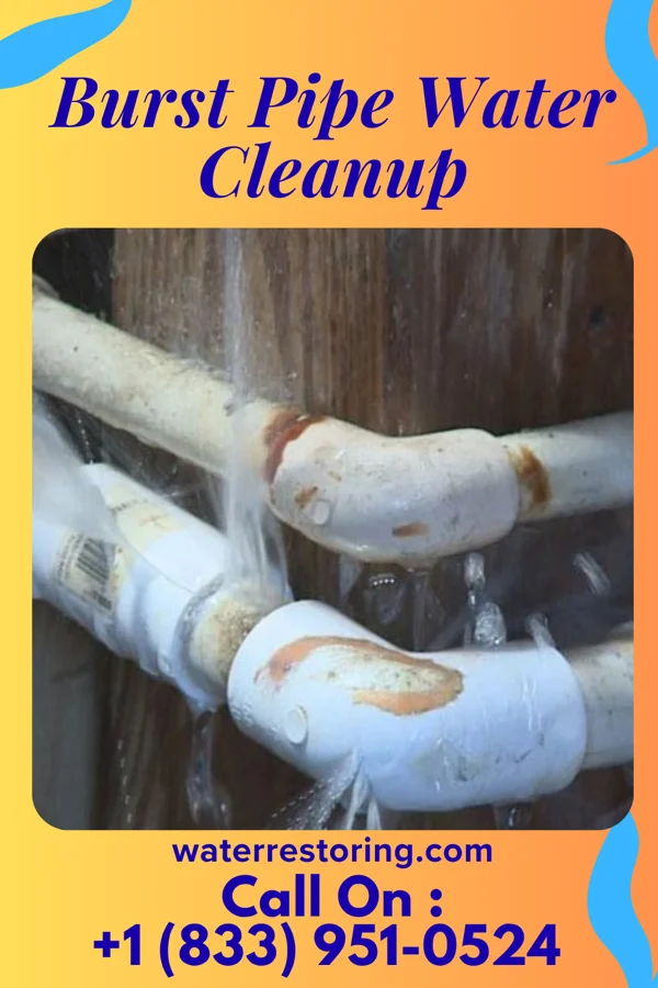 Burst Pipe Water Cleanup in Banks, AR